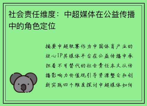 社会责任维度：中超媒体在公益传播中的角色定位